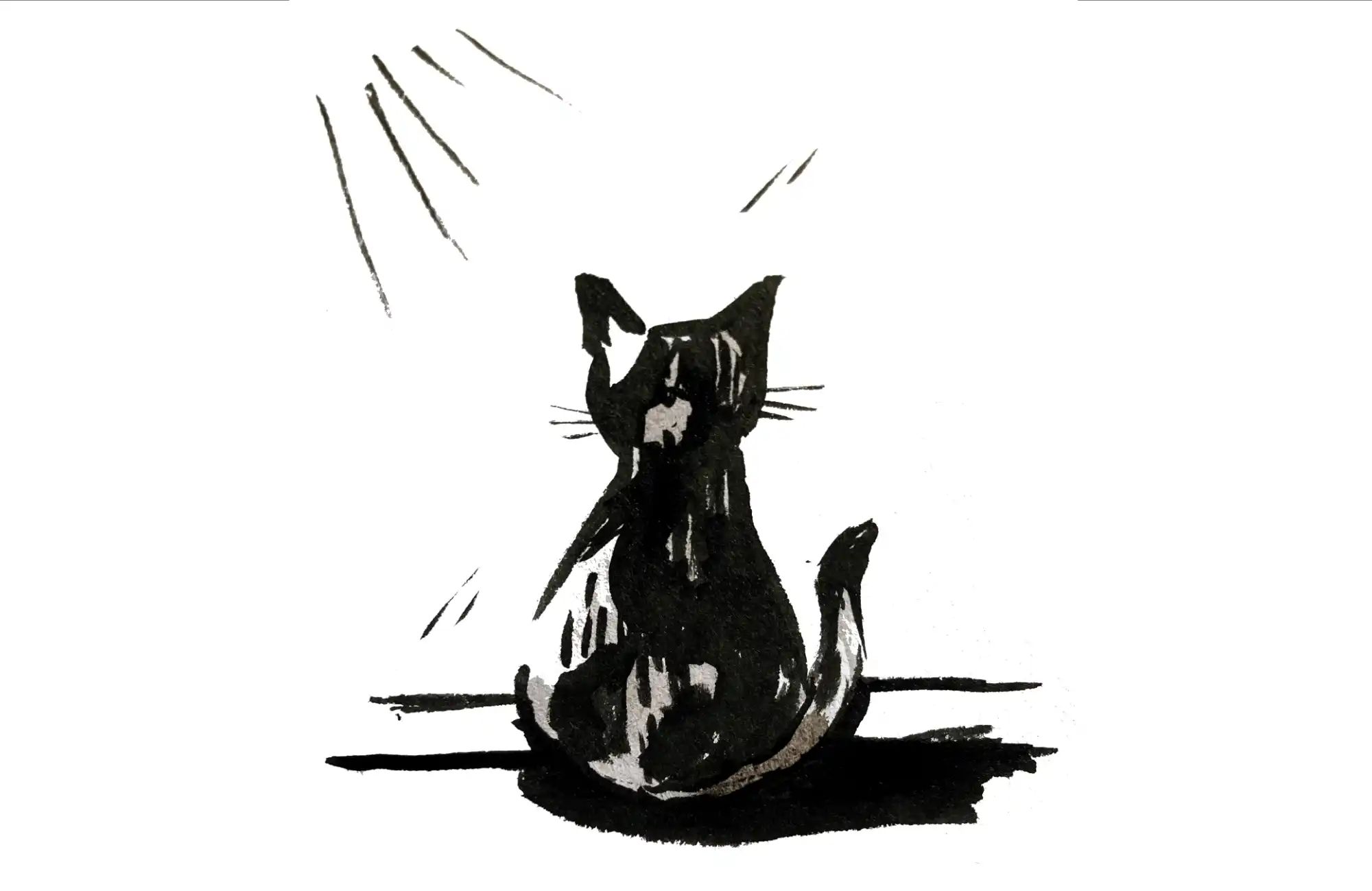 Cat watching out of a window, loosely drawn in black ink